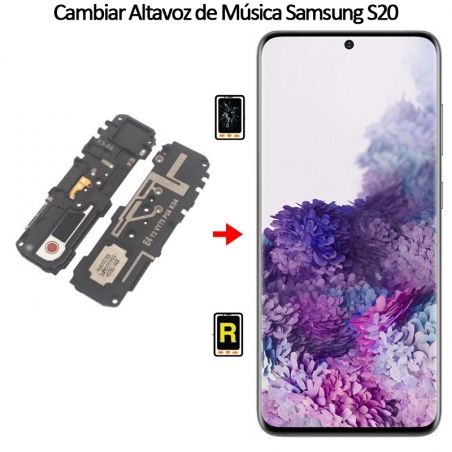 Cambiar Altavoz De Música Samsung galaxy S20