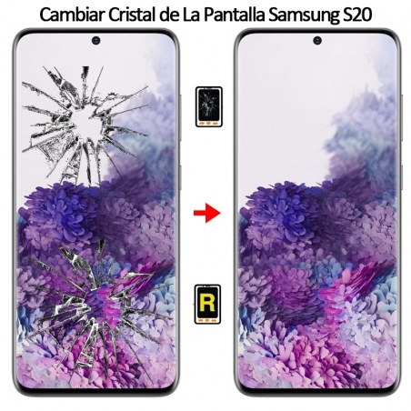 Cambiar Cristal De Pantalla Samsung S20