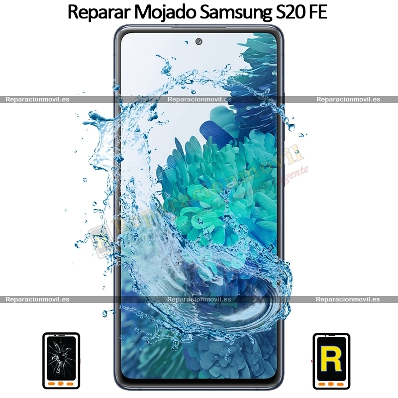 Reparar Mojado Samsung galaxy S20 FE
