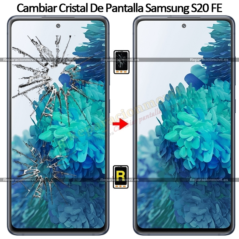 Cambiar Cristal de Pantalla Samsung Galaxy S20 FE