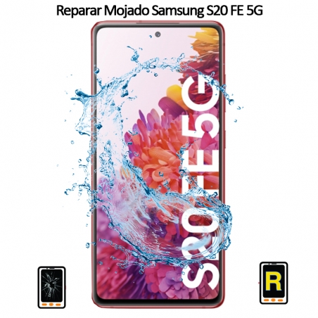 Reparar Mojado Samsung galaxy S20 FE 5G