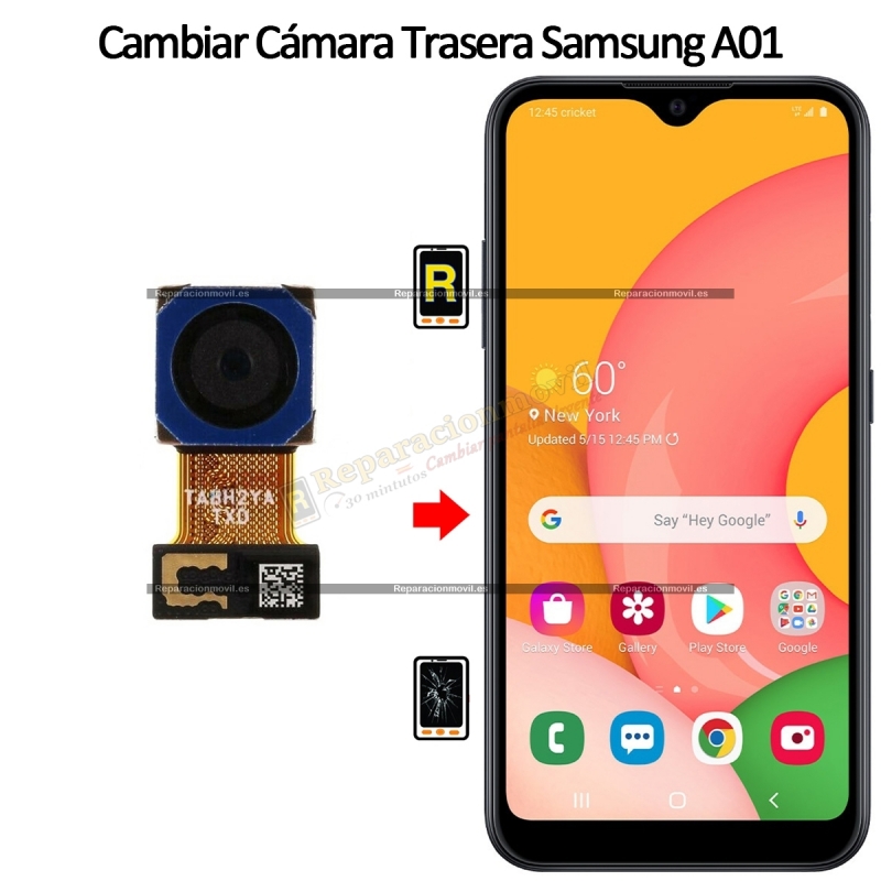 Cambiar Cámara Trasera Samsung Galaxy A01