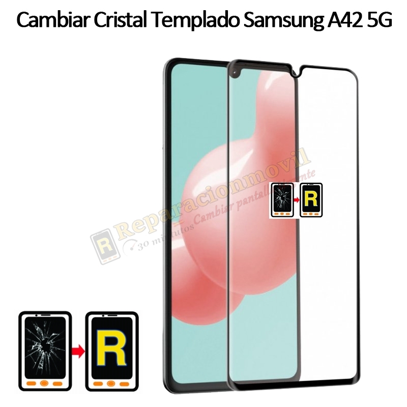 Protector De Pantalla Para Samsung Galaxy A42 5G