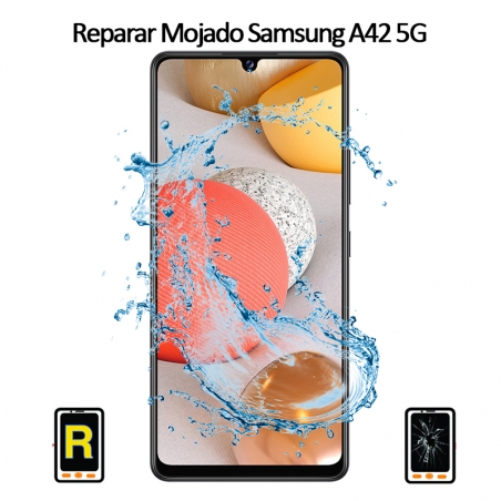 Reparar Mojado Samsung Galaxy A42 5G