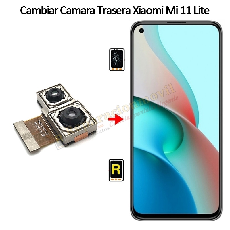Cambiar Cámara Trasera Xiaomi Mi 11 Lite 4G