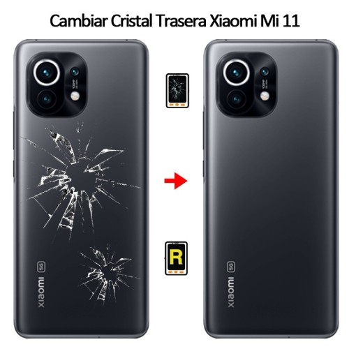 Cambiar Tapa Trasera Xiaomi Mi 11 5G
