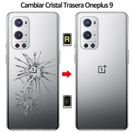 Cambiar Tapa Trasera Oneplus 9