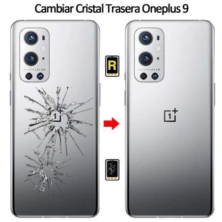 Cambiar Tapa Trasera Oneplus 9