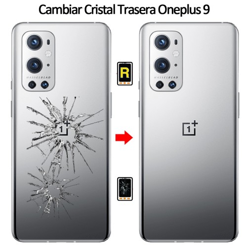 Cambiar Tapa Trasera Oneplus 9