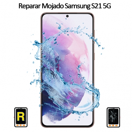 Reparar Mojado Samsung Galaxy S21 5G