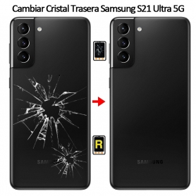 Cambiar Tapa Trasera Samsung Galaxy S21 Ultra 5G