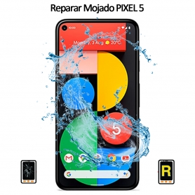 Reparar Mojado Google Pixel 5