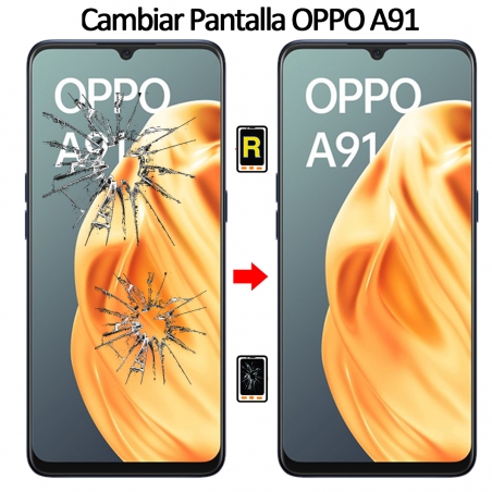 Cambiar Pantalla Oppo A91 Compatible