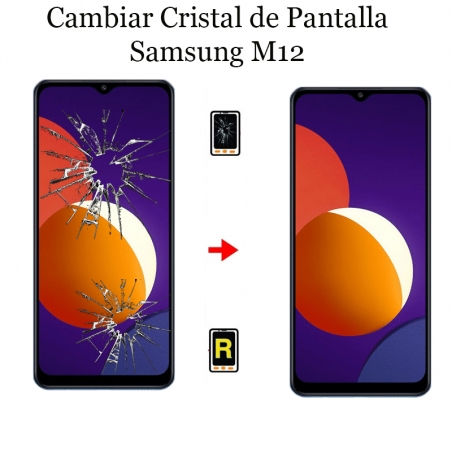 Cambiar Cristal De Pantalla Samsung Galaxy M12