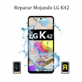 Reparar Mojado LG K42