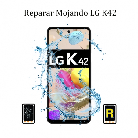 Reparar Mojado LG K42