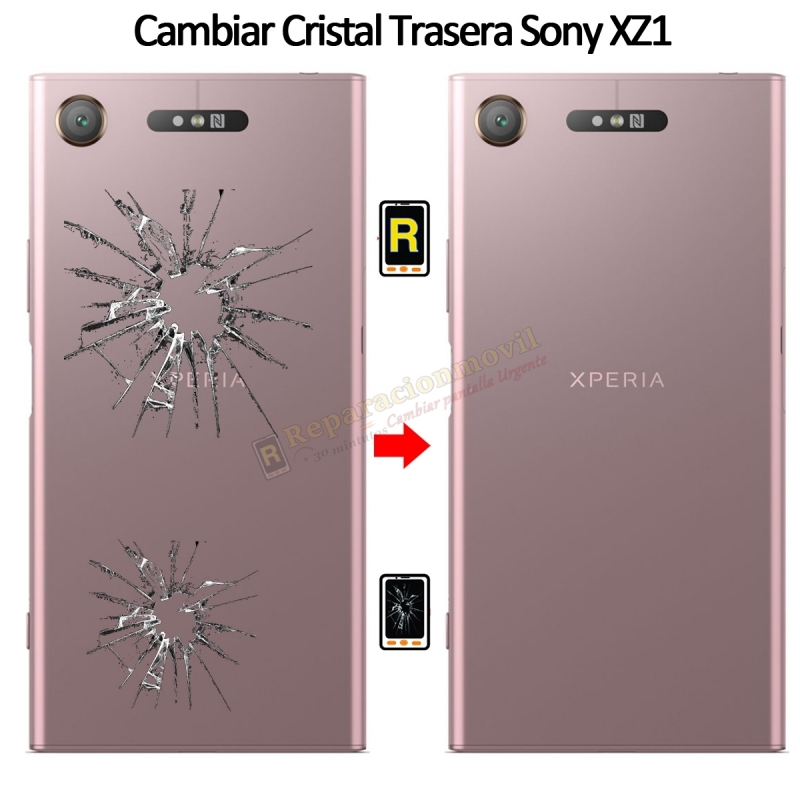 Cambiar Tapa Trasera Sony Xperia XZ1