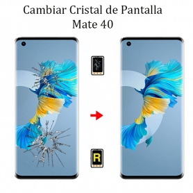 Cambiar Cristal De Pantalla Huawei Mate 40