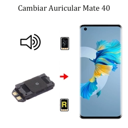 Cambiar Auricular De Llamada Huawei Mate 40