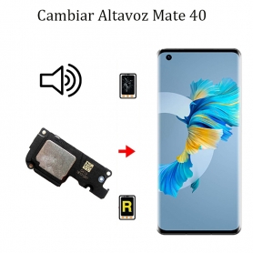 Cambiar Altavoz De Música Huawei Mate 40