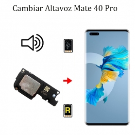 Cambiar Altavoz De Música Huawei Mate 40 Pro