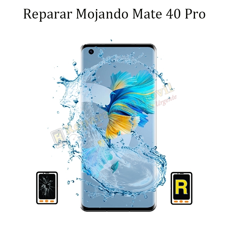 Reparar Mojado Huawei Mate 40 Pro
