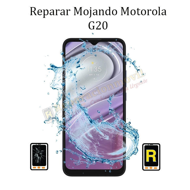 Reparar Mojado Motorola Moto G20