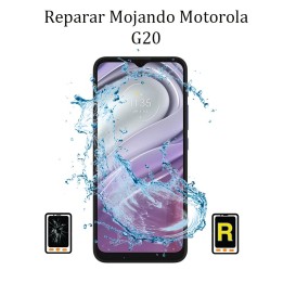Reparar Mojado Motorola Moto G30
