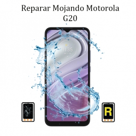 Reparar Mojado Motorola Moto G30