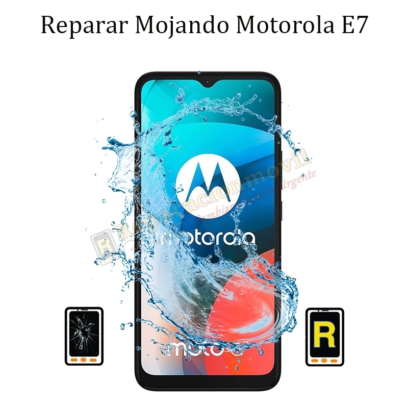 Reparar Mojado Motorola Moto E7