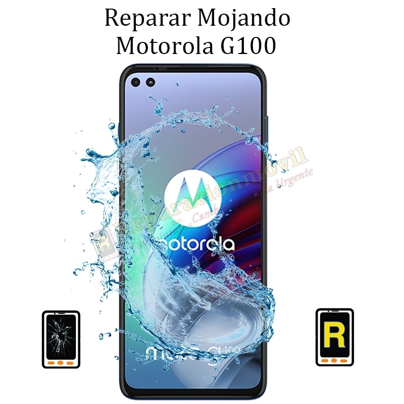 Reparar Mojado Motorola G100