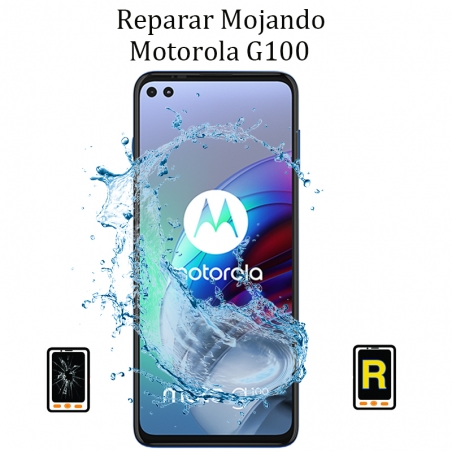 Reparar Mojado Motorola G100