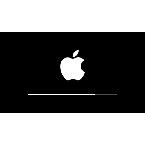 Reparar No Enciende iPhone 13 Pro Max