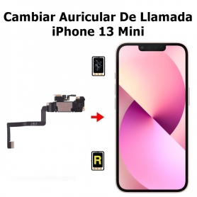 Cambiar Auricular De Llamada iPhone 13 mini