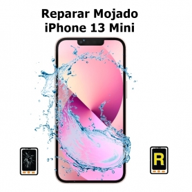 Reparar Mojado iPhone 13 mini
