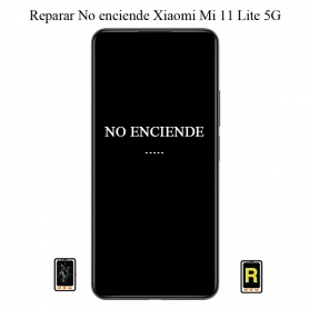 Reparar No Enciende Xiaomi Mi 11 Lite 5G NE
