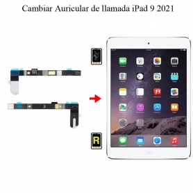 Cambiar Auricular De Llamada iPad 9 2021
