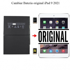 cambiar Batería Original iPad 9 2021