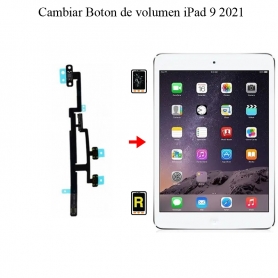 Cambiar Botón De Volumen iPad 9 2021