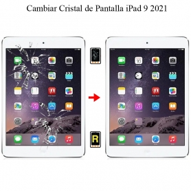 Cambiar Cristal De Pantalla iPad 9 2021