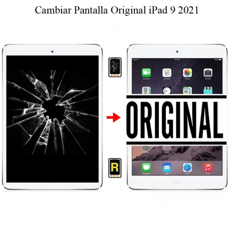 Cambiar Pantalla iPad 9 2021 Original