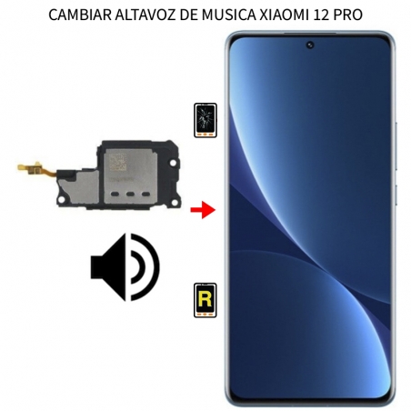 Cambiar Altavoz De Música Xiaomi 12 Pro