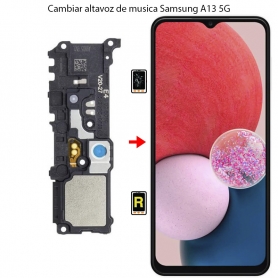 Cambiar Altavoz De Música Samsung Galaxy A13 5G