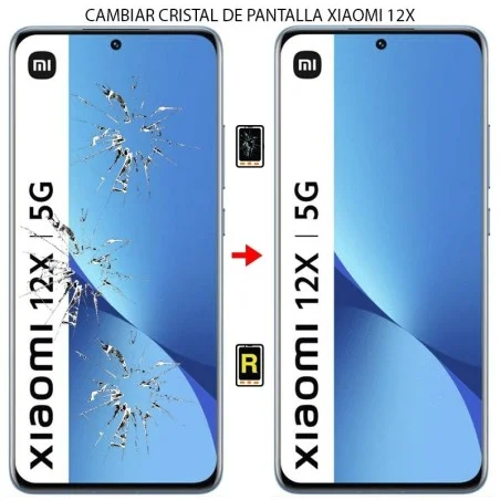 Cambiar Cristal De Pantalla Xiaomi Mi 12X
