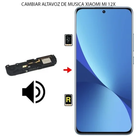Cambiar Altavoz De Música Xiaomi Mi 12X