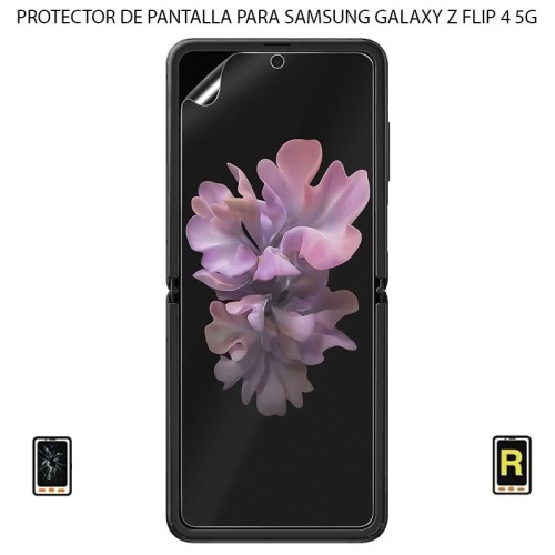 Protector de Pantalla Externa Samsung Galaxy Z Flip 4 5G