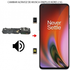 Cambiar Altavoz De Música Oneplus Nord 2 5G