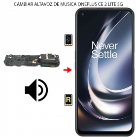 Cambiar Altavoz De Música Oneplus Nord CE 2 Lite 5G