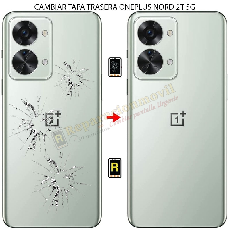 Cambiar Tapa Trasera Oneplus Nord 2T 5G