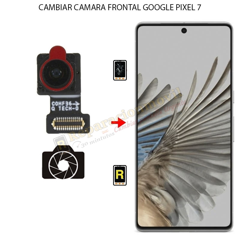 Cambiar Cámara Frontal Google Pixel 7